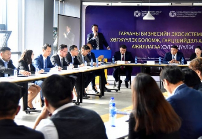 Дэд төвүүдэд тулгуурлан гарааны бизнесийг хөгжүүлнэ