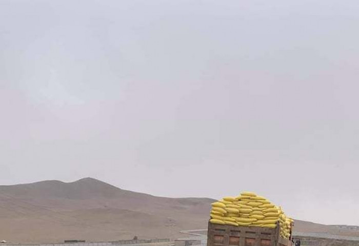 ЗАМ ТЭЭВРИЙН ОСЛООС УРЬДЧИЛАН СЭРГИЙЛЖ, ХЯНАЛТ ТАВЬЖ БАЙНА