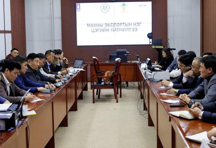 АЖЛЫН ХЭСГИЙН ГИШҮҮДТЭЙ МАХНЫ ЭКСПОРТЫГ НЭМЭГДҮҮЛЭХ ТАЛААР САНАЛ СОЛИЛЦЛОО 