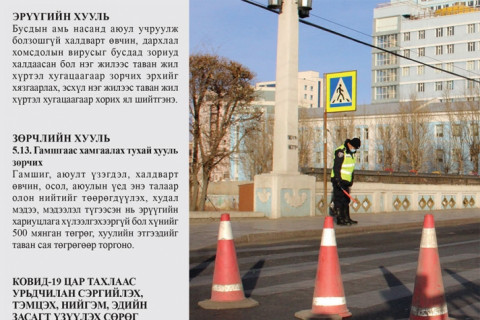 Хатуу хөл хорионоос хулгайгаар гарах нь гэмт хэрэг