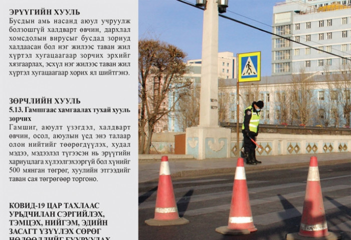 Хатуу хөл хорионоос хулгайгаар гарах нь гэмт хэрэг