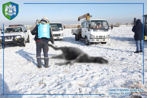 Туул голын далан давуулан үнс зайлуулсан усаа асгаж байсныг зогсоов