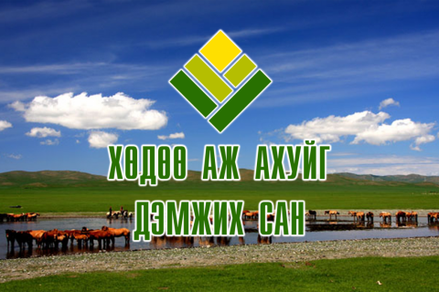 ХААДС-ийн хариуцлага алдсан удирдлагуудыг ажлаас нь чөлөөллөө 