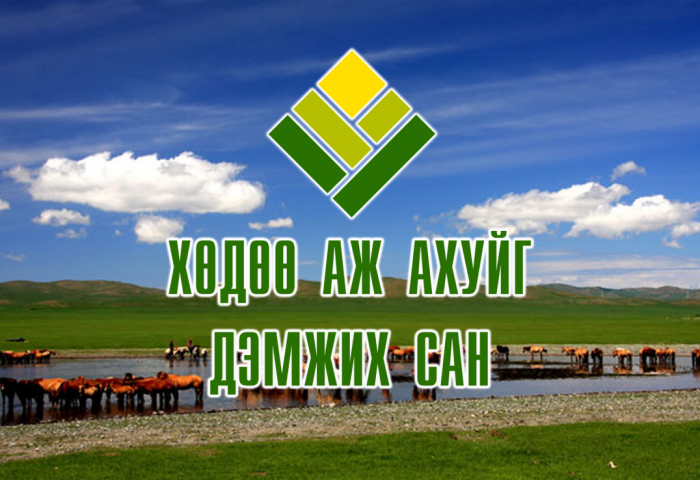 ХААДС-ийн хариуцлага алдсан удирдлагуудыг ажлаас нь чөлөөллөө 