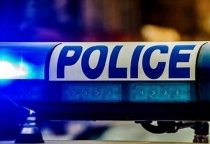 Сураггүй болсон эмэгтэйн тасарсан хөлийг нохой зууж иржээ