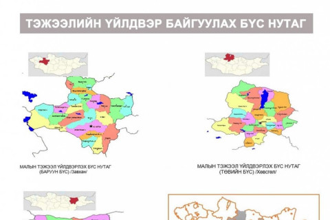 ИНФОГРАФИК: МАЛЫН ТЭЖЭЭЛИЙН ҮЙЛДВЭР