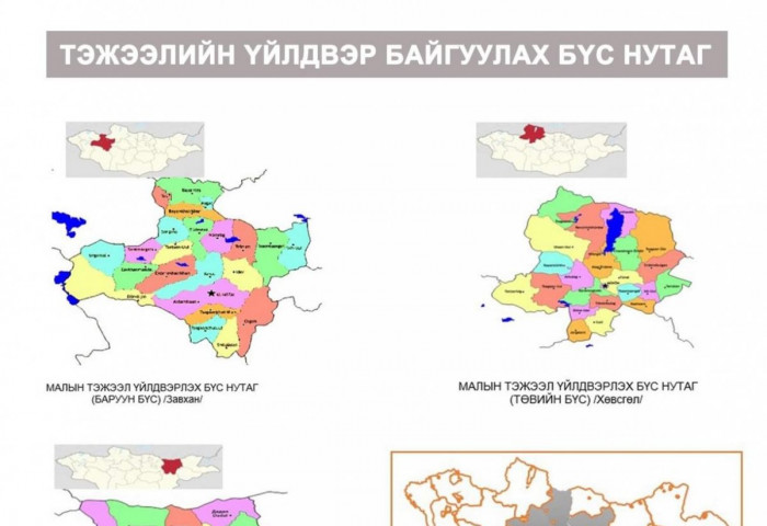 ИНФОГРАФИК: МАЛЫН ТЭЖЭЭЛИЙН ҮЙЛДВЭР
