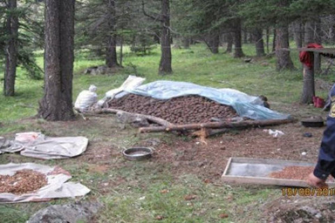 ШУУРХАЙ: Самарт явж байсан 6 иргэн автомашиндаа нас баржээ