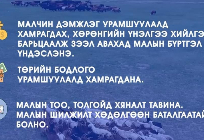 ХХААХҮЯ: Улсын хэмжээнд мал бүртгэлжүүлэлтийн ажлыг эрчимжүүлнэ