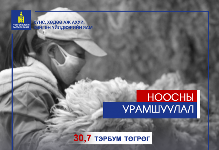 НООСНЫ УРАМШУУЛАЛ ОЛГОЛОО