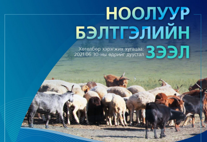 Төрийн банкнаас олгож буй жилийн 3 хувийн хүүтэй ЗЭЭЛҮҮД