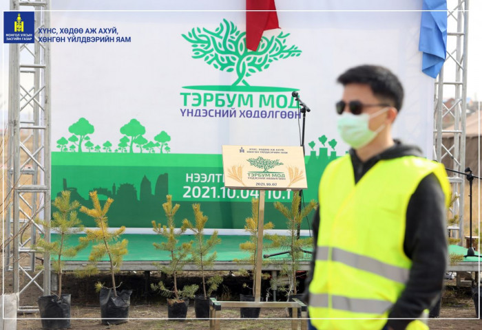 “ТЭРБУМ МОД” ХӨДӨЛГӨӨНИЙГ ДЭМЖИЖ ХХААХҮЯ-НЫХАН 1200 БУТ, СУУЛГАЦ ТАРИЛАА