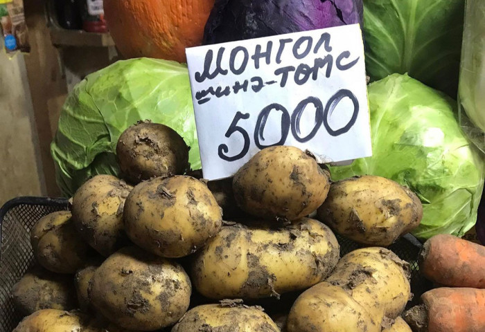 Шинэ ургацын ногоо гарсан ч үнэ нь буураагүй байна