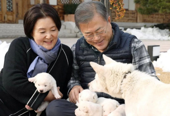 Ким Жон Унаас бэлэгт авсан нохойнуудаа Өмнөд Солонгосын ерөнхийлөгч асан буцаахаар болжээ