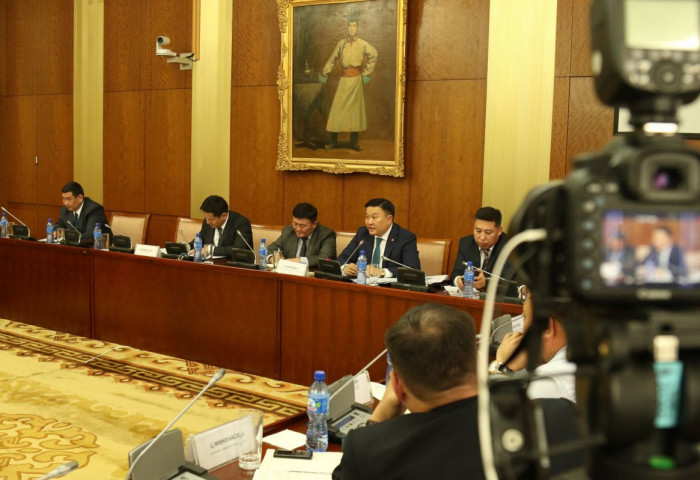 Н.ЦЭРЭНБАТ: ТУСГАЙ ЗӨВШӨӨРЛИЙГ НЭЭЛТТЭЙ, ИЛ ТОД ДУУДЛАГА ХУДАЛДААГААР ОЛГОДОГ БОЛНО