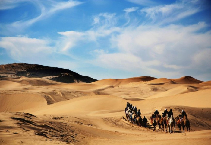 Монголд аялал жуулчлалын хөтчийн хамгийн өндөр цалин 60.000 ам.доллар байна