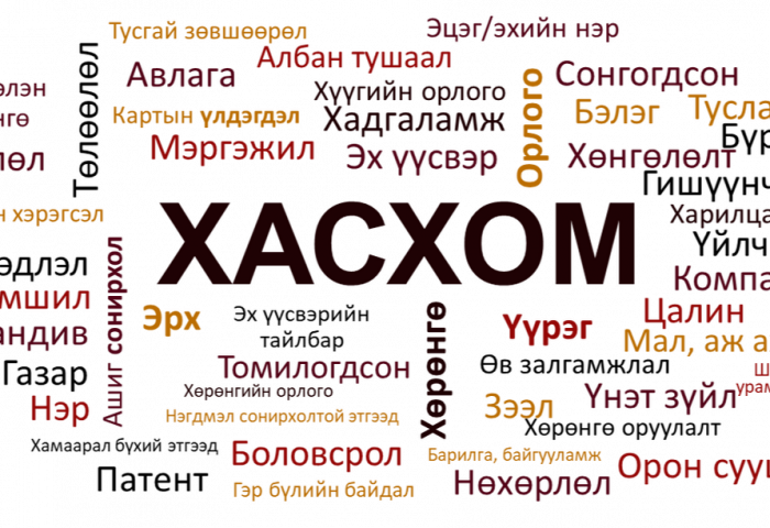 ХОМ: Тусгай сангуудын захирлууд ямар хөрөнгөтэй вэ-II