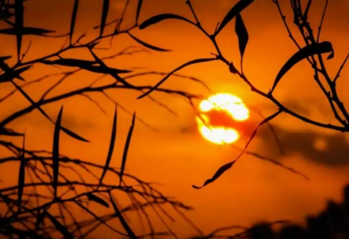 BLOOMBERG: 2024 он түүхэн дэх хамгийн халуун жил болж магадгүй