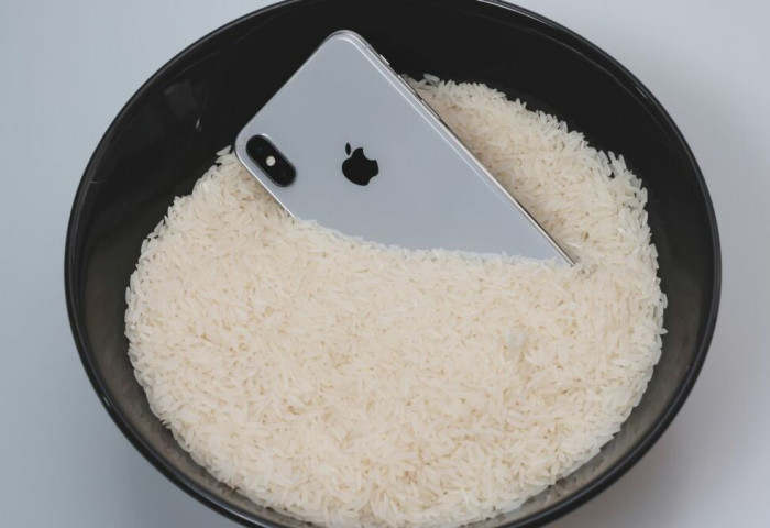 Усанд унагасан iPhone-ийг цагаан будаан дотор хатаахгүй байхыг Apple зөвлөжээ