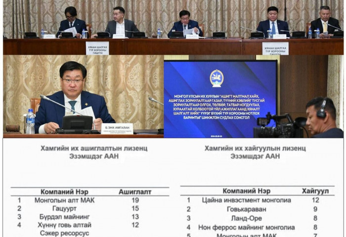 Ашиглалтын хамгийн олон лиценз “МАК”, “Гацуурт” хоёрт, хайгуулынх “Цайна инвэстмент монголиа“-д байна