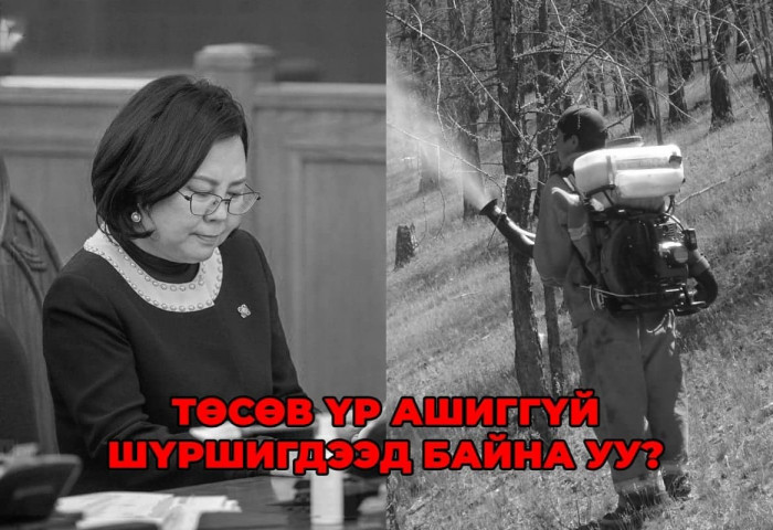 Төсвийн мөнгө үр ашиггүй шүршигдээд байна уу? Сайд аа