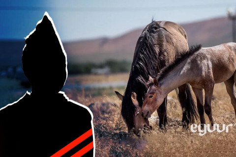 Хэргийн мөрөөр: Мориноос унаж амиа алдсан 10 настай хүүгийн амь ахуйн осол болон замхрах уу