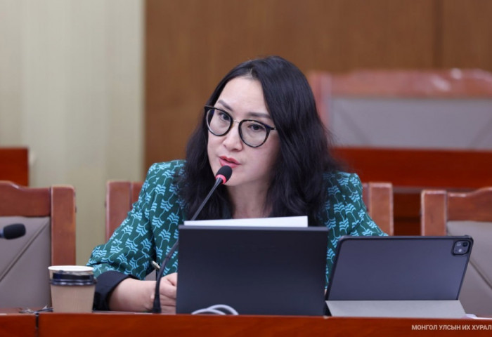 Шалтаг нь “...Баярцогт” шалтгаан нь Баялгийн сан