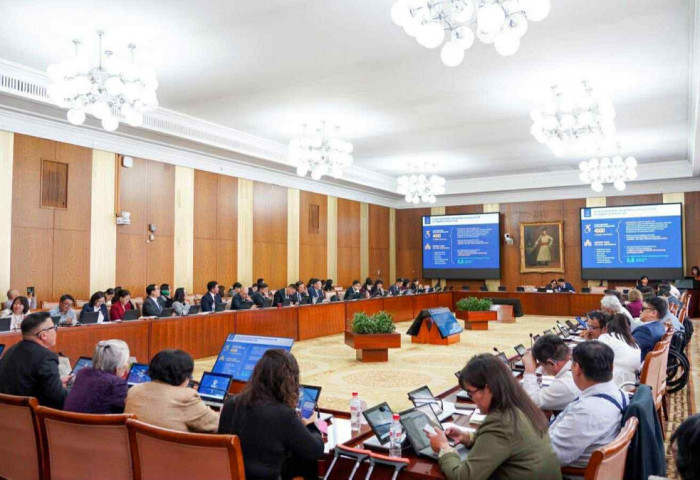 Хөгжлийн бэрхшээлтэй иргэдэд зориулсан төсвөө тусад нь батлах хэрэгтэй гэв
