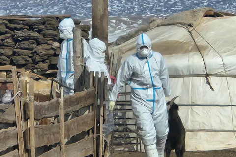 ХАЛДВАРТ, ГОЦ ХАЛДВАРТ ӨВЧНӨӨС УРЬДЧИЛАН СЭРГИЙЛЭХ ЯАРАЛТАЙ БОЛОН ТӨЛӨВЛӨГӨӨТ ДАРХЛААЖУУЛАЛТЫН МЭДЭЭ