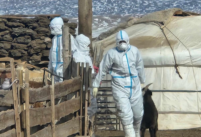 ХАЛДВАРТ, ГОЦ ХАЛДВАРТ ӨВЧНӨӨС УРЬДЧИЛАН СЭРГИЙЛЭХ ЯАРАЛТАЙ БОЛОН ТӨЛӨВЛӨГӨӨТ ДАРХЛААЖУУЛАЛТЫН МЭДЭЭ