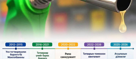 Төрөөс бодлогоор үзүүлсэн дэмжлэг үр дүнд хүрсэн үү