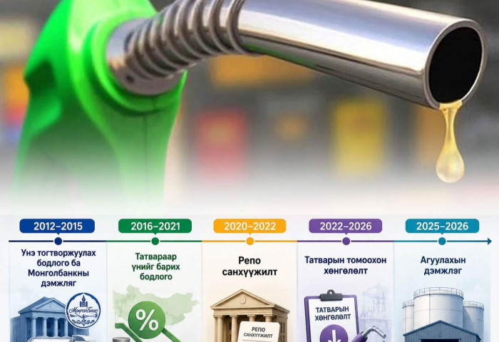 Төрөөс бодлогоор үзүүлсэн дэмжлэг үр дүнд хүрсэн үү