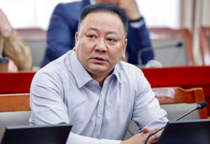 Д.Батбаяр: Засгийн газар бүсээ чангалъя гэвэл бүтцээ өөрчлөх хэрэгтэй