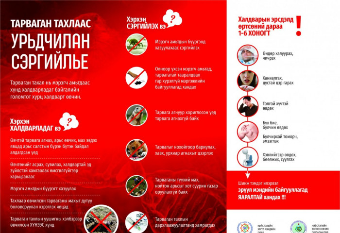 Тарваган тахал өвчний шинж тэмдгүүд