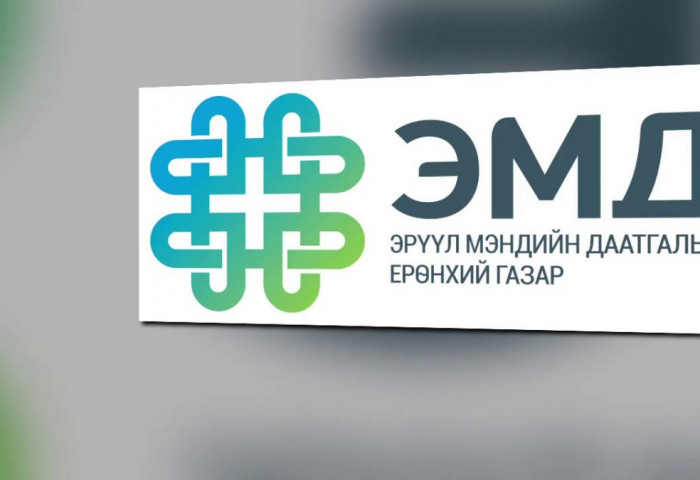       Энэ онд эрүүл мэндийн даатгалын сангаас  эмийн үнийн хөнгөлөлтөд 33,9 тэрбум төгрөг зарцуулна