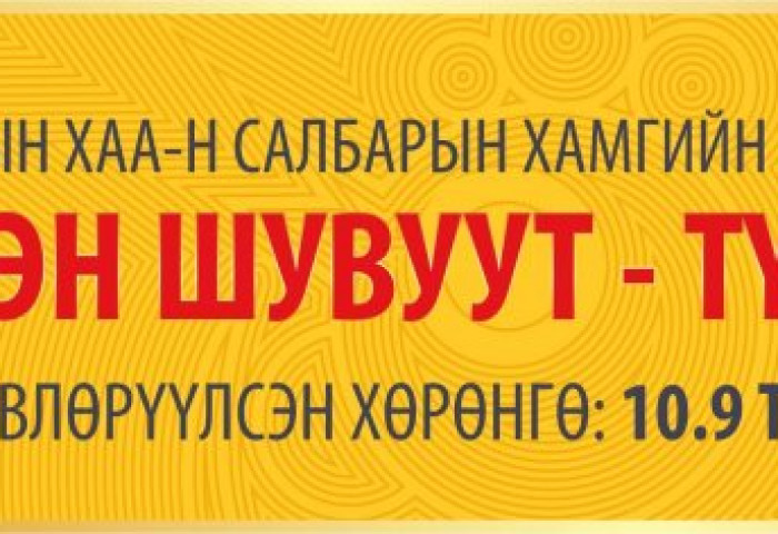 ТҮМЭН ШУВУУТ ТҮМНИЙХ БОЛЛОО