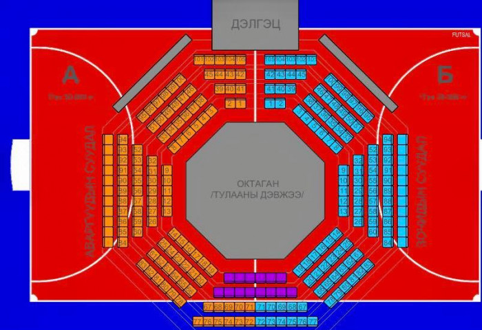 Монголын Тулааны Шилдэг Тамирчдын холбоо үзүүлж байна