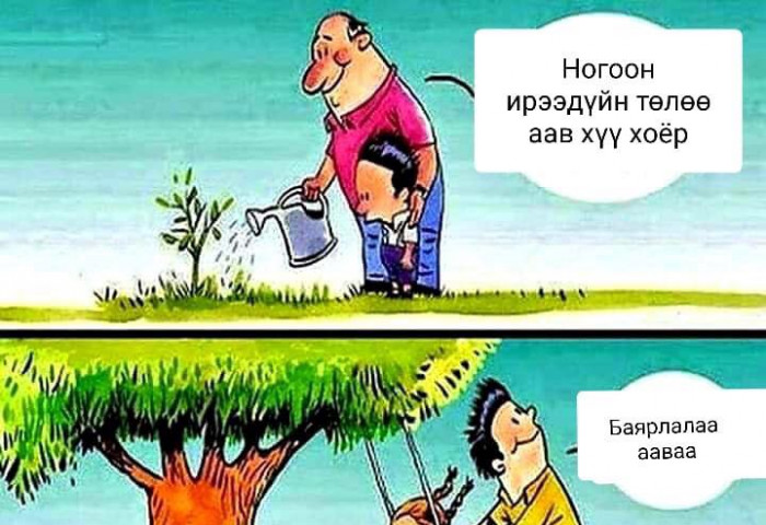 Дэлхийн ойн өдөр өнөөдөр тохиолдлоо