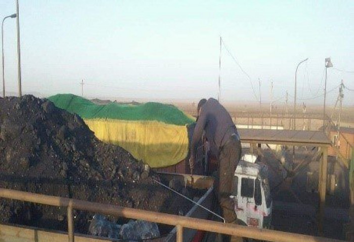 Нүүрсний дор их хэмжээний тарваганы арьсыг нуун улсын хилээр нэвтрүүлэхийг завджээ