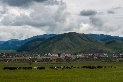 ХӨВСГӨЛИЙН ТАРИАЛАНД БОРОО ОРЛОО
