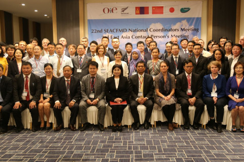 Зүүн өмнөд Азийн шүлхийн  хяналт хөтөлбөрийн үндэсний зохицуулагч нарын 22 дугаар уулзалт болж  байна