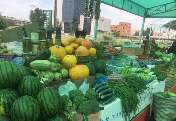 Эх орны хөрсөнд боловсорсон эрүүл хүнсээ худалдан авцгаая