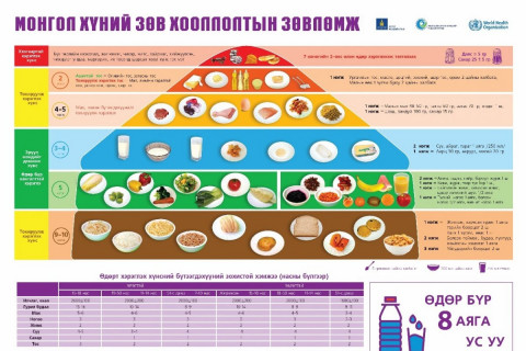 Өдрийн хэрэгцээт илчлэгийн 50 хувийг нүүрс ус эзлэх ёстойг та мэдэх үү?