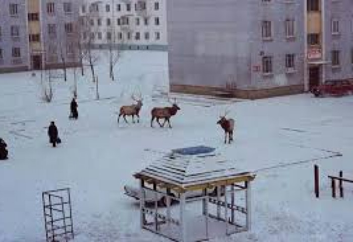 Цаг агаарын урьдчилсан мэдээ