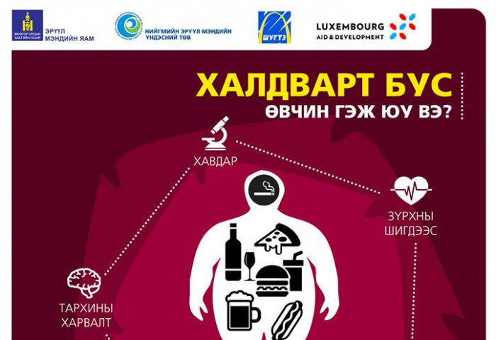 НЭМҮТ: Халдварт бус өвчин гэж өөрөө өөртөө өвчин бэлэглэхийг хэлнэ