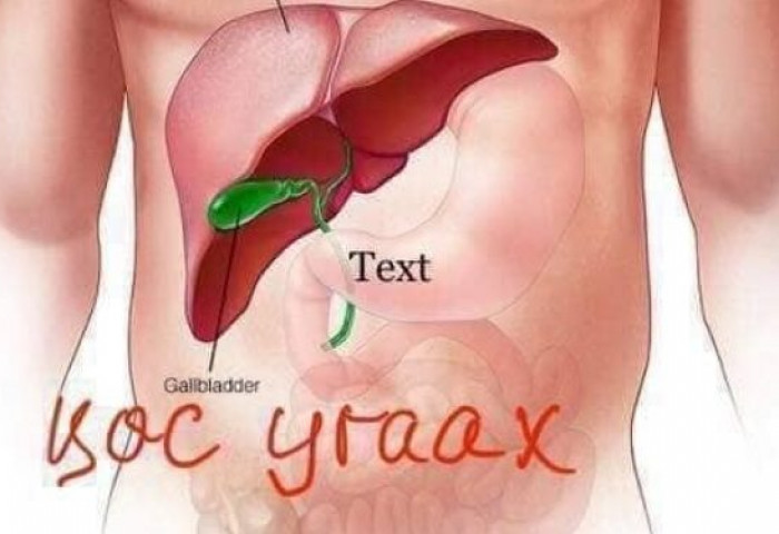 Цөс угаах нь дотор эрхтэн, нүүрний арьсанд сайн нөлөөтэй