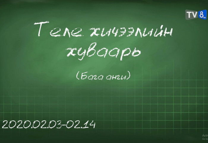 ТАНИЛЦ: Бага ангийн сурагчдад зориулсан теле хичээлийн хуваарь