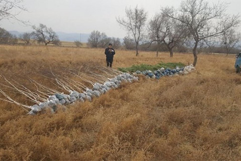 Хүрээлэн буй орчны эсрэг үйлдэж буй гэмт хэргийн тоог бууруулна
