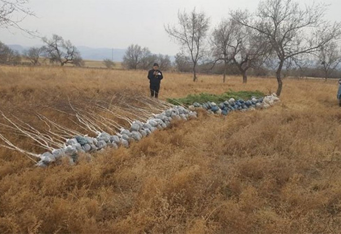 Хүрээлэн буй орчны эсрэг үйлдэж буй гэмт хэргийн тоог бууруулна