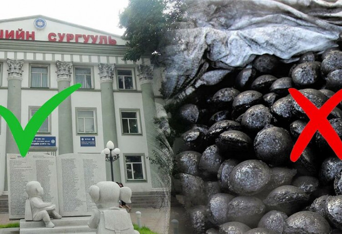 “Багшийн төлбөр” зөвдөж, “хятад түлээ” буруудаж байна